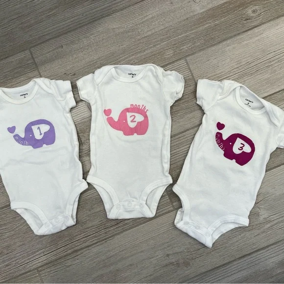 Baby elephant milestone onesies hand painted months 1-9